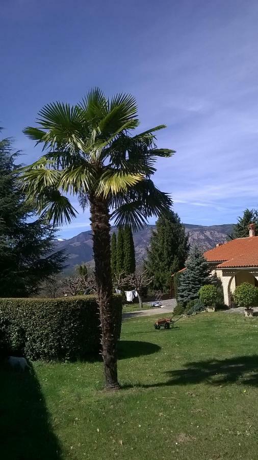 فيرنيه ليه با Canigou Lodge المظهر الخارجي الصورة